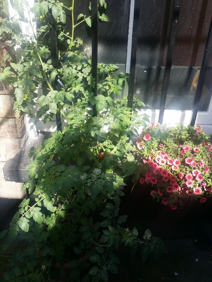 Parkway Guesthouse Dublin Bagian luar foto